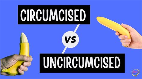 penis necircumcis|Circumcised vs Uncircumcised: Size, Look, Sexual Function